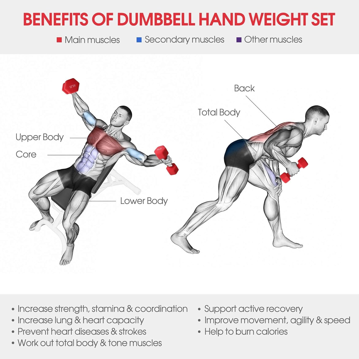 Dumbbell Set, 8Lb Pair Neoprene Coated Iron Dumbbells Hand Weights Set Barbell Exercise Fitness Hex Dumb Bell Free Weight Dumbbell for Women Men Home Gym Workout Strength Bodybuilding Training